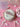 Mother's day special MOM entremet (550 grams)