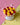 Mango Raspberry Tub (Serves 2)