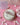 Mother's day special MOM entremet (550 grams)